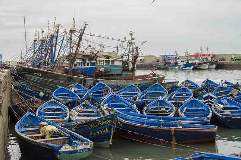 290 - Marruecos - Essaouira - puerto pesquero